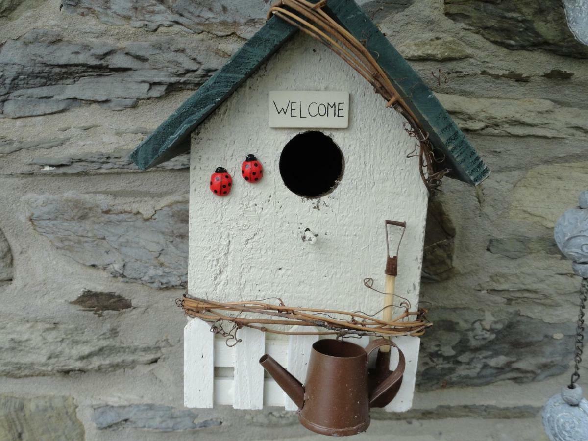 Le Heron Houffalize Exterior foto